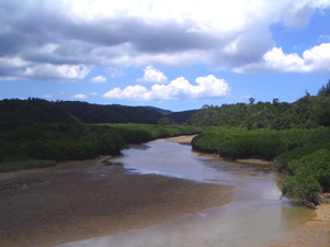 �c�����p�̃q���M