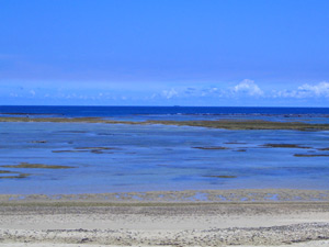 ��������̑����m