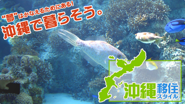 沖縄移住スタイルは、あなたの沖縄移住・沖縄ロングステイ・沖縄ライフを、沖縄移住プランナーが応援します。沖縄で暮らそう!