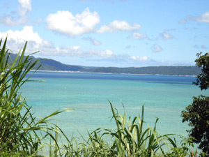 �ÉF���������X�������̂���