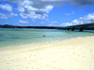 �ÉF���勴�̂���������