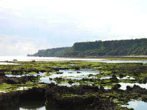 ���d�����̊C���疀���m�̋u