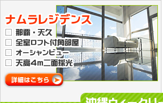 �ߔe�E�V�v �i�������W�f���X