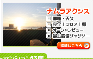 �ߔe�E�V�v �i�����A�N�V�X