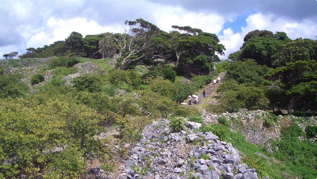 ���A�m��Ձi�Ȃ����񂶂傤���Ɓj