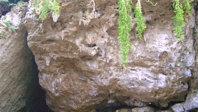 �֏��ԁi�����ӂ��������j