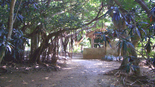 �������i�����Ȃ���j�j