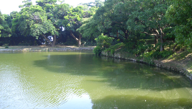 �������i�����Ȃ���j