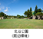 �j���C�X�C�~���O�X�N�[���E�ۈ牀